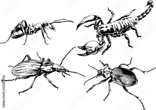 vector drawings sketches different insects bugs Scorpions spiders drawn in ink by hand , objects with no background