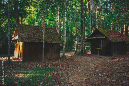 Draft hut in the forest