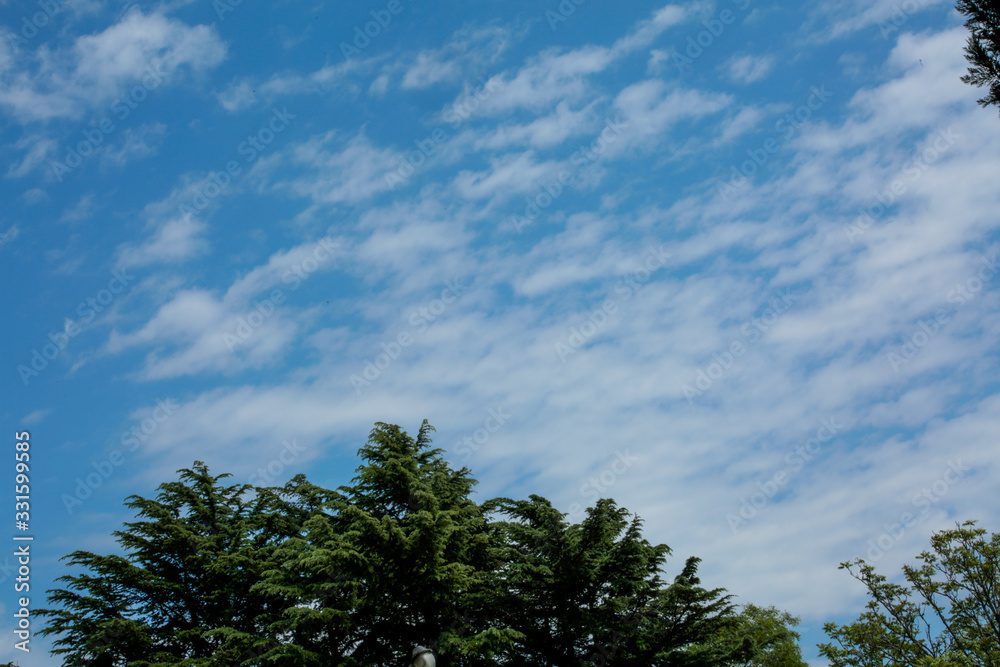 Obraz premium Sky Cloud