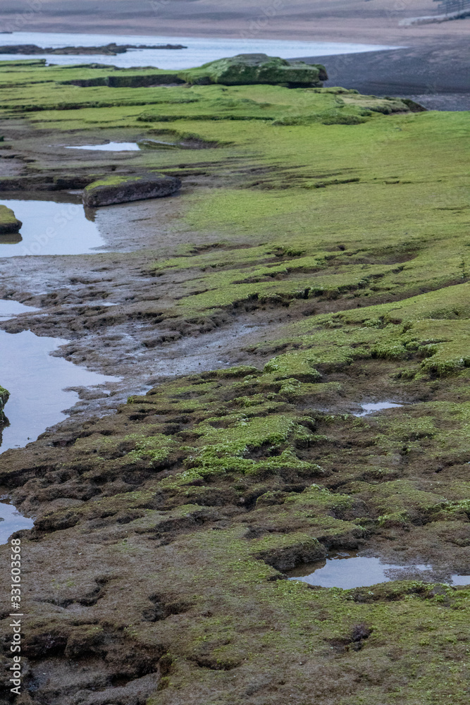 Beautiful stones on the Jeju island