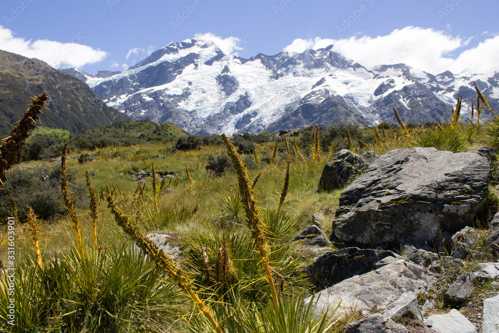 Fototapeta premium Mt Cook New Zealand