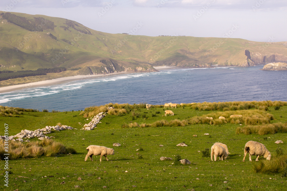 Obraz premium New Zealand South Island