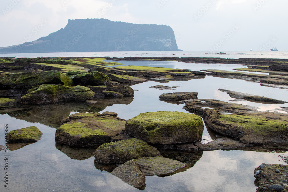 Beautiful stones on the Jeju island Beautiful stones on the Jeju island