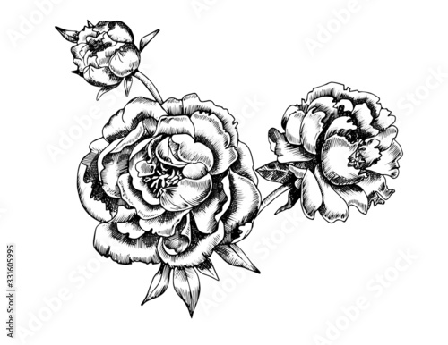 Vector sketch of peons on white background.