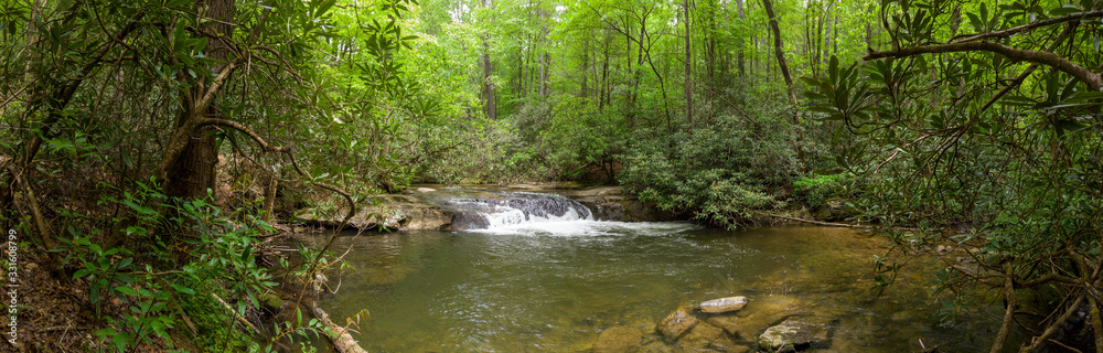 Naklejka premium Cascade Fall stream in the forest Pano Upstate South Carolina