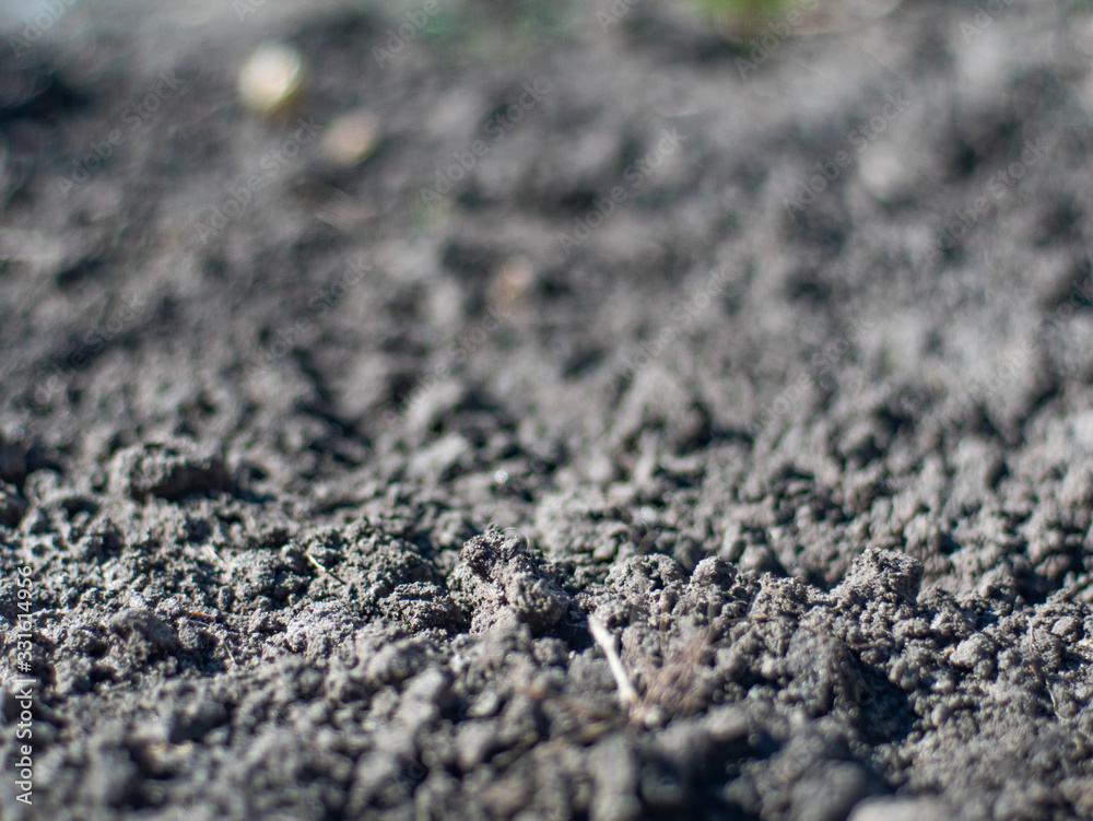 Macro shot of spring ground Macro shot of spring ground