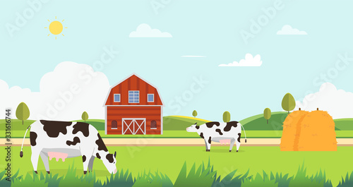 Meadow landscape with farm and cow eating grass vector illustration.Farm with cows and hays.Landscape with farm.Nature farm in summer