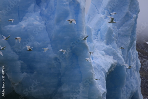 Fototapeta Naklejka Na Ścianę i Meble -  Grönlands Vielfalt, wunderschöne Eisskulpturen, Landschaften, Hunde