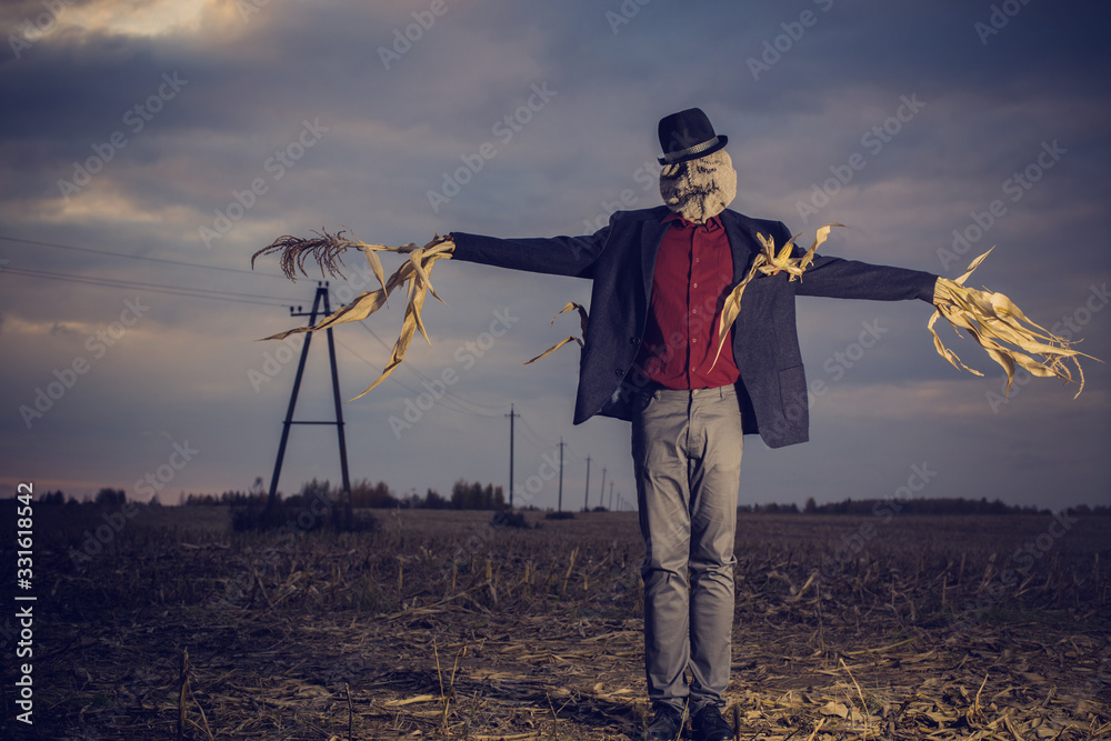 scarecrow stands in the autumn field against the evening sky