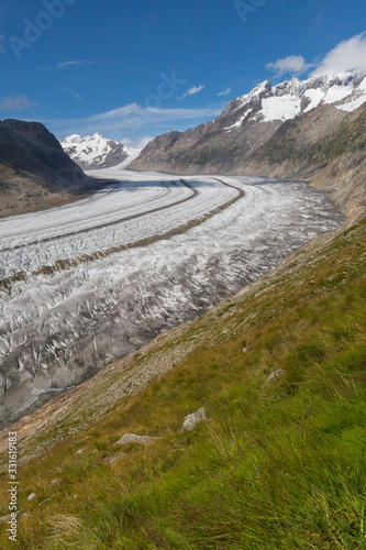 Aletsch glacier in Swiss mountains with blue sky and green meadow