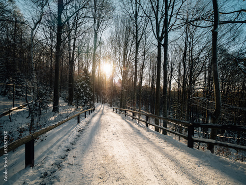 Winter road in forest © Laszlo