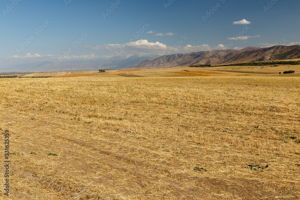 Agricultural land, field in Kazakhstan on a background of mountains