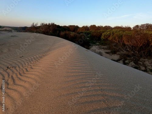 Sand Dune at Sunrise