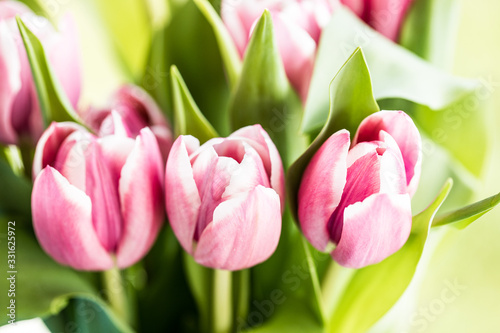 Fototapeta Naklejka Na Ścianę i Meble -  Pink Tulip bunch of flowers