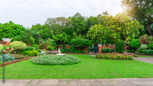 English cottage garden  flowering plant on smooth green grass lawn and group of evergreen trees in good care maintenance landscaping of a public park under white sky and sunshine morning