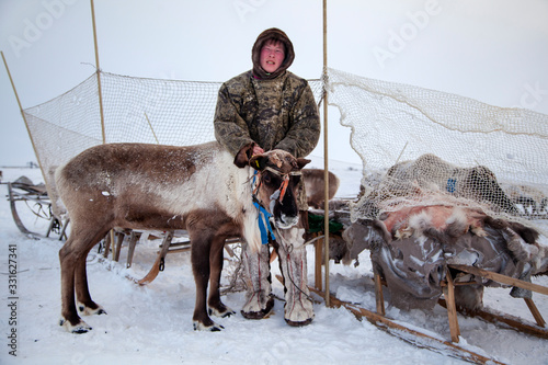  The extreme north, Yamal,   reindeer in Tundra, assistant reindeer breeder,  the men  in national clothes photo