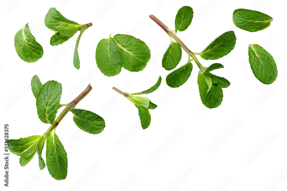 Fresh mint leaves isolated on white background. top view Fresh mint leaves isolated on white background. top view
