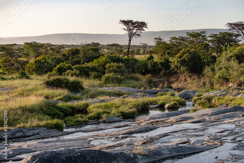 view down a rocky river bed in the masai mara