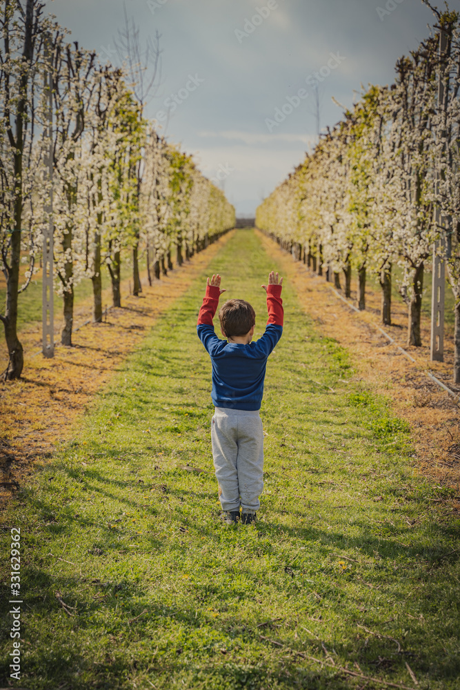 small young boy glorify trees at spring