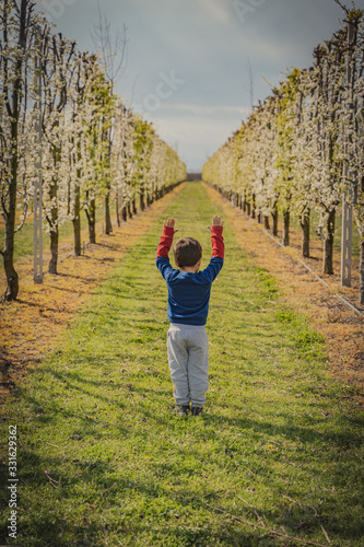 small young boy glorify trees at spring © kostas