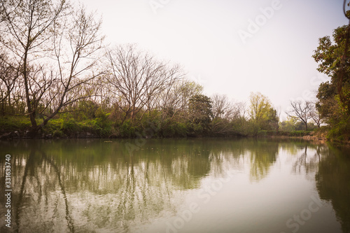 a scene from Xixi Wetland Marshes in hangzhou in China