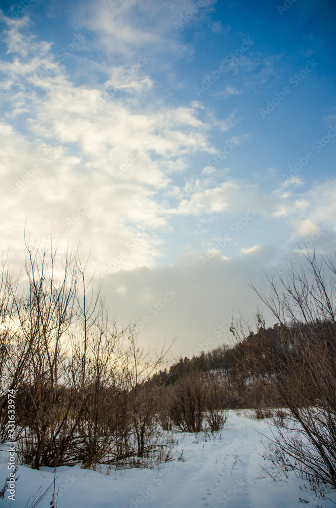 winter landscape with trees and clouds