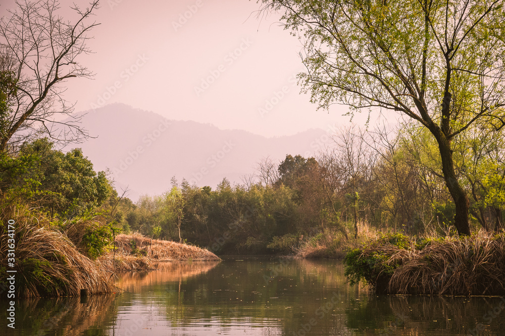 a scene from Xixi Wetland Marshes in hangzhou in China a scene from Xixi Wetland Marshes in hangzhou in China