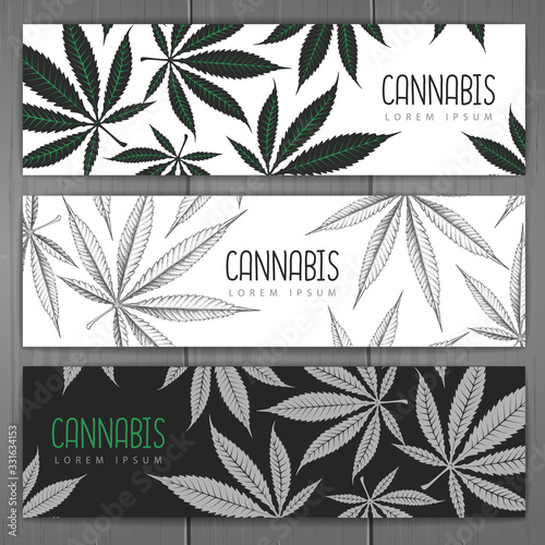 Set of banners with cannabis leaves. Corporate identity design.