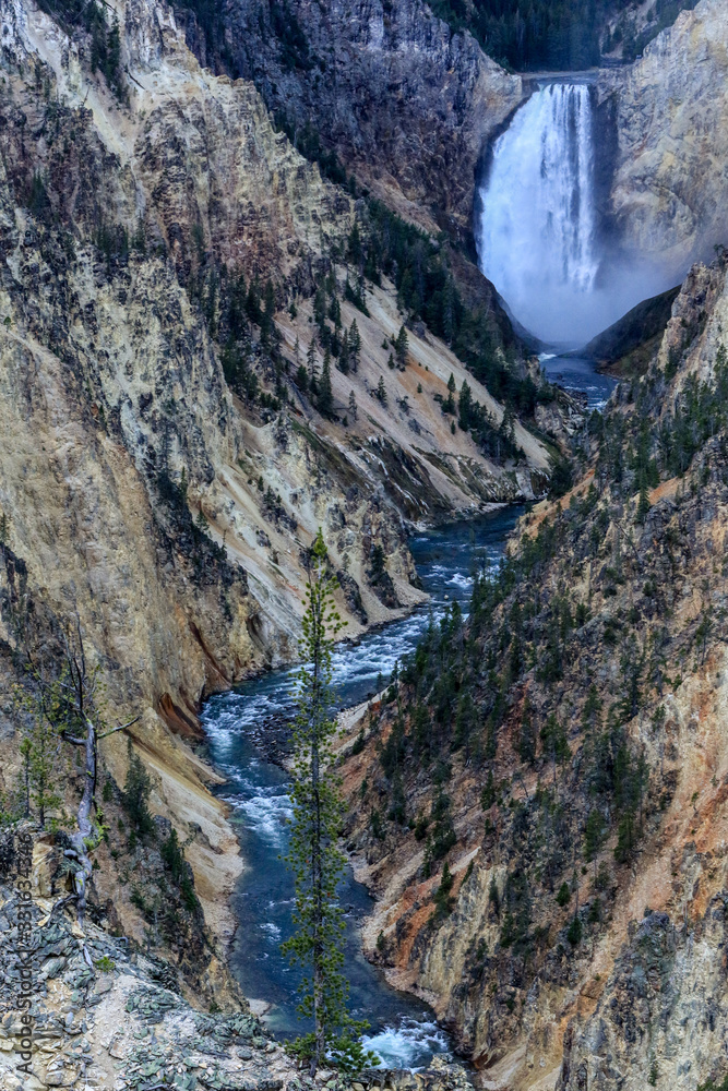Mount River in the Forest of the Yellowstone National Park, USA Mount River in the Forest of the Yellowstone National Park, USA