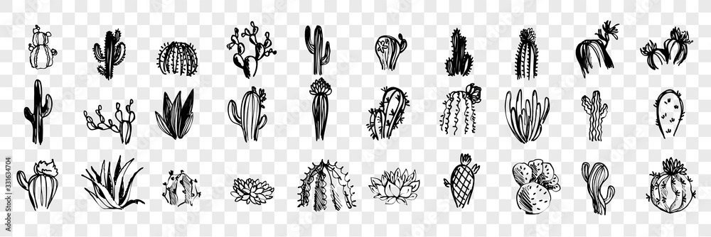 Doodle, sketch, hand drawn cactuses set collection