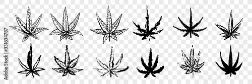Hand drawn marijuana, cannabis set collection