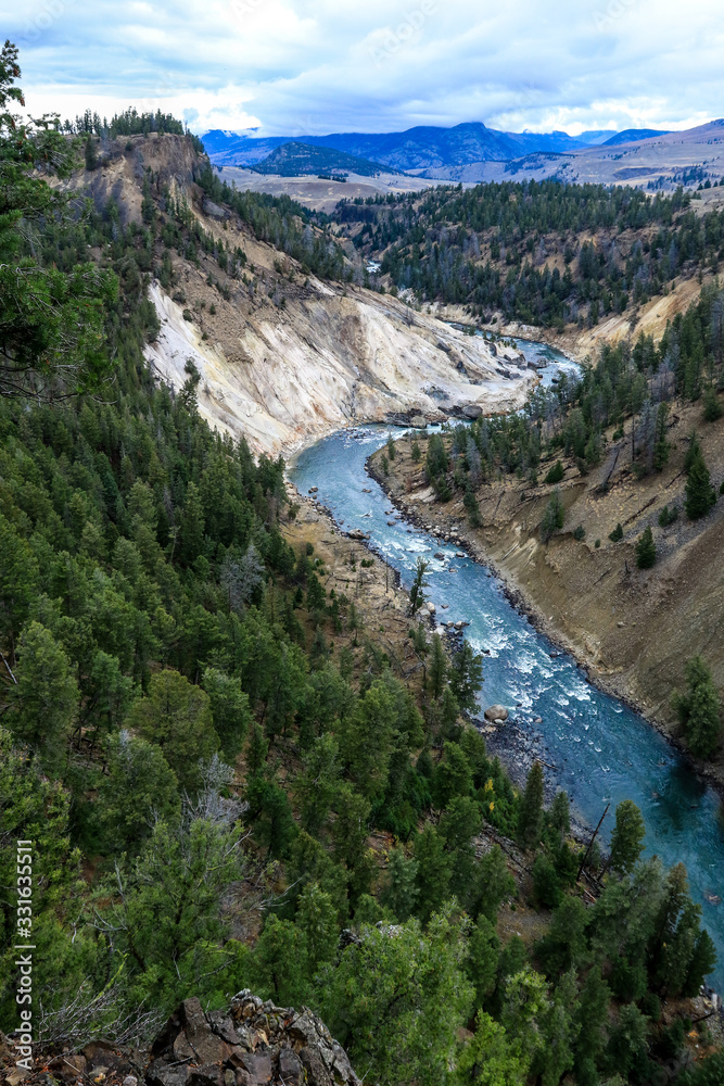 Mount River in the Forest of the Yellowstone National Park, USA