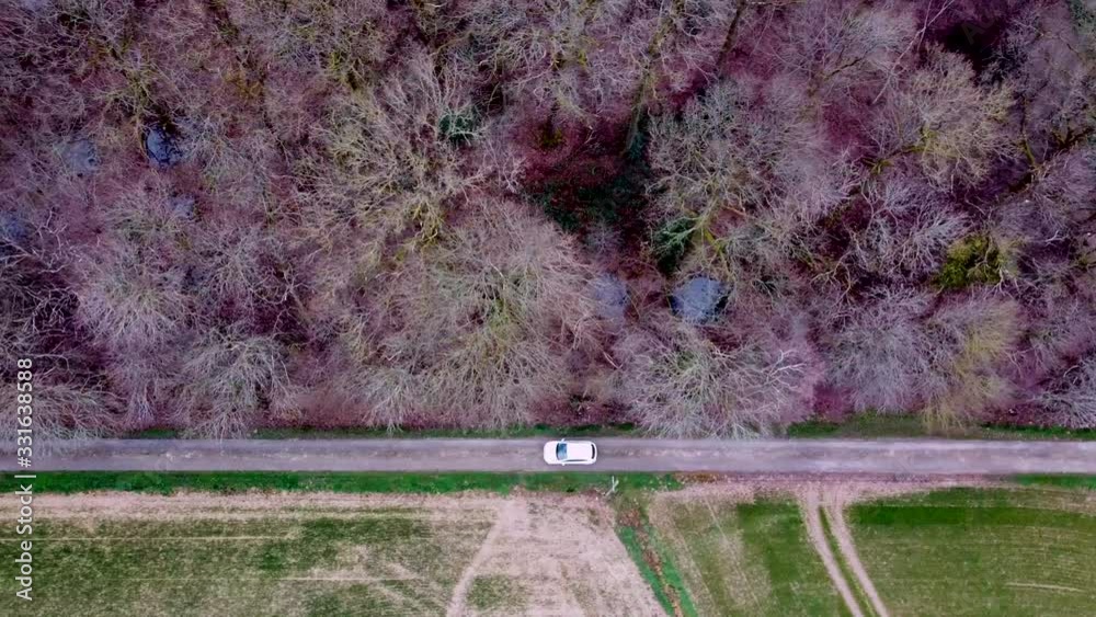 Voiture seule roulant vue aérienne : voyageant sur route de la forêt - vidéo aérienne : vue de dessus : drone 4K