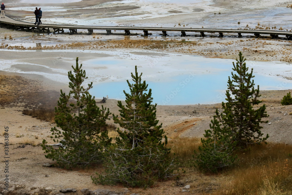 Sulfur Water Points in the Yellowstone National Park, USA Sulfur Water Points in the Yellowstone National Park, USA