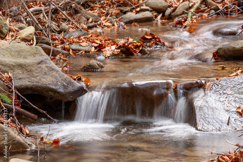 A wild mountains stream flowing down the hill among rocks and red fallen leaves in the autumn (close-up)