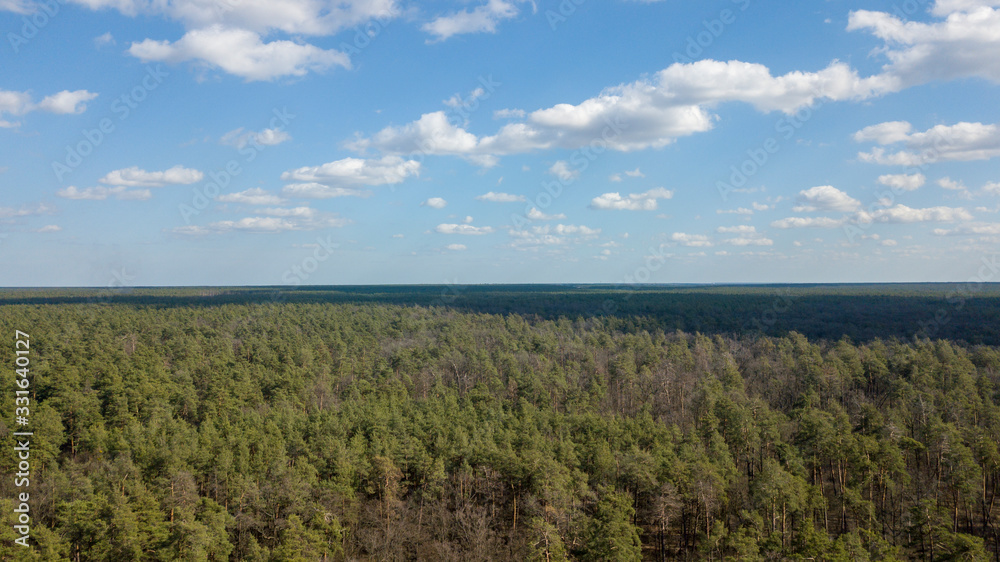Top view of the forest on a sunny day. The shadow of the clouds on the crowns of trees