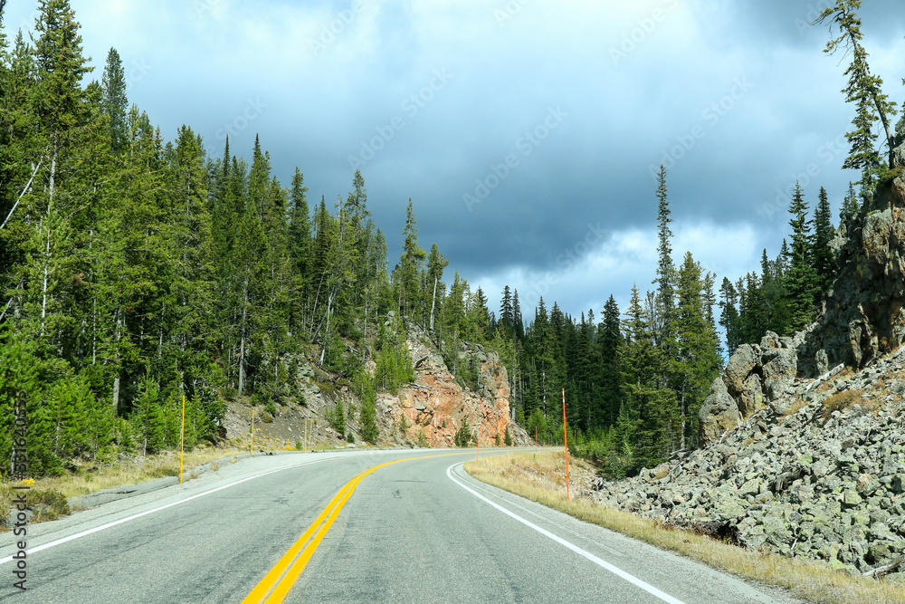 Road way in the Forest  of Yellowstone National Park, USA