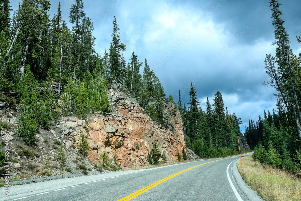 Road way in the Forest of Yellowstone National Park, USA Road way in the Forest of Yellowstone National Park, USA