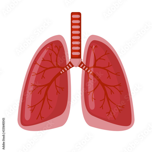 Human Lung icon in flat style isolated on white background.