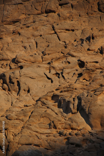 Camel Safari on the desert, Sharm El Sheikh, Egypt. photo