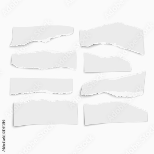 Set of paper different tears scraps wisps isolated on white background