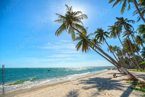 Inclined coconut trees leaning toward the tropical sea on summer afternoon. Beautiful sandy beach for rest and relaxation.