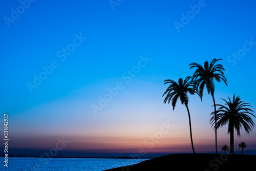 Fototapeta Naklejka Na Ścianę i Meble -  Sunset over the tropical sea with silhouettes of palm trees on the islets.