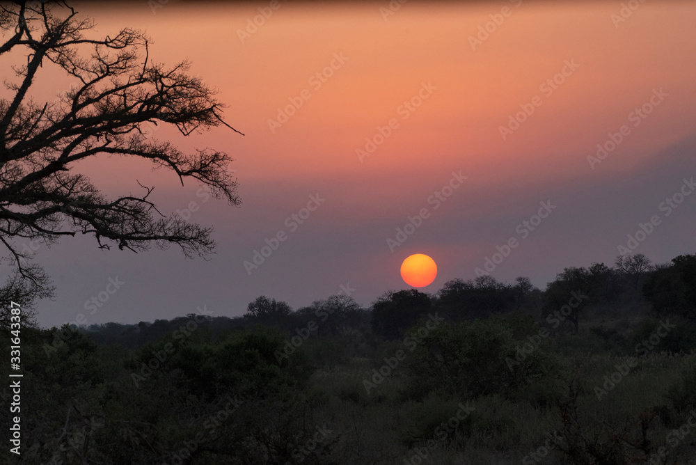 Beautiful sunset, Kruger National Park, South Africa Beautiful sunset, Kruger National Park, South Africa