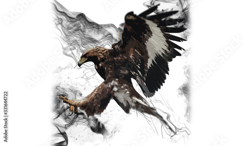 eagle in flight