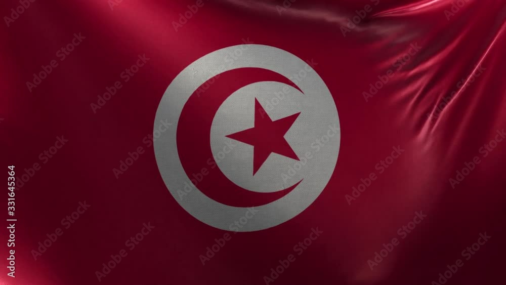 Flag of Tunisia 3D Loop Flag of Tunisia 3D Loop