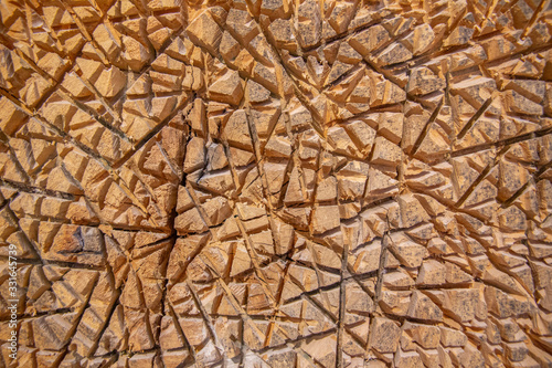 Cuts and carves on wood structure  texture close up  macro