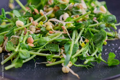 Close up of vegan healthy salad made of peas microgreen psrouts and sprouted beans