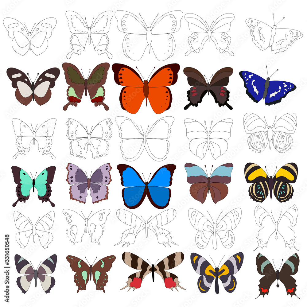 Fototapeta premium outline butterfly, coloring book, set