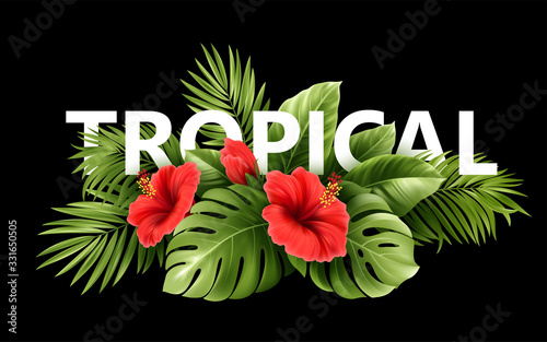 Exotic Tropical hibiscus flowers and monstera leaves, palm leaves of tropical plants isolated on black background. Vector illustration